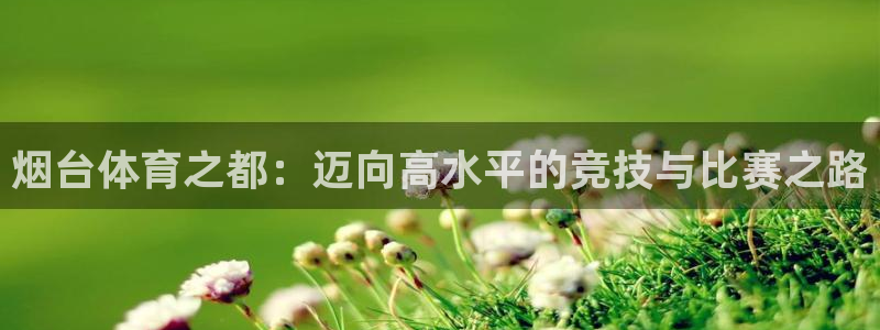 烟台体育之都：迈向高水平的竞技与比赛之路