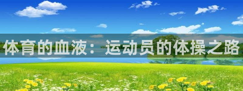 体育的血液：运动员的体操之路
