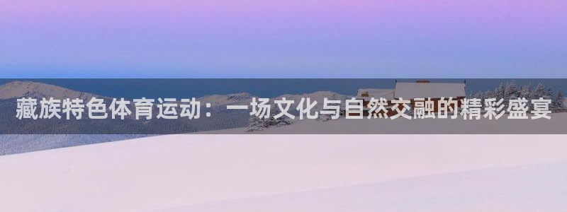 藏族特色体育运动：一场文化与自然交融的精彩盛宴