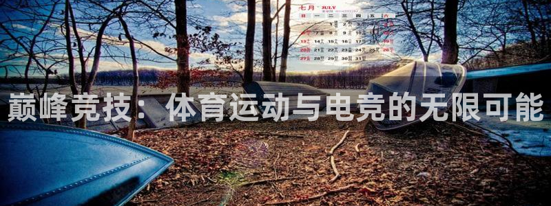巅峰竞技：体育运动与电竞的无限可能